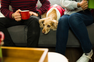 Closeup of a couple relaxing on sofa with dog wearing christmas costume
