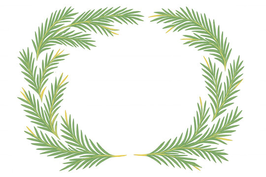 Pine needle wreath frame creating a natural border for festive design elements on transparent background