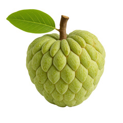 Fototapeta premium fresh green apple