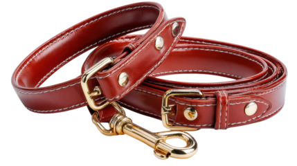 Elegant Leather Leash and Collar: A close-up showcases a luxurious brown leather leash and collar set, meticulously crafted for a pet's comfort and style.