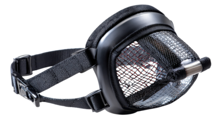 Dog leash, dog harness, muzzle on transparent background