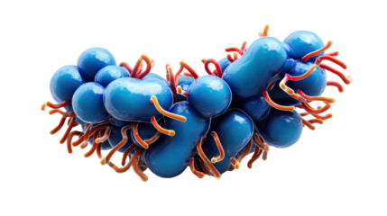3d rendered illustration of bacteria