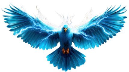 blue wings isolated on white