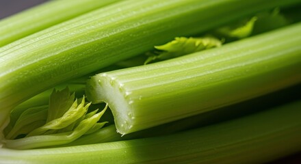 Close up of fresh green celery stalks with one cut end showing crisp texture