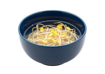 A bowl of vibrant, light-blue ceramic, filled with tender sprouts and broth, provides a simple yet appetizing culinary presentation.