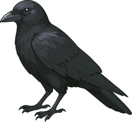 Obraz premium 左向きのカラスのイラスト