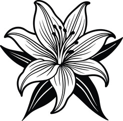 Black and white floral seamless pattern with flowers, leaves, and spring elements