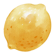 Watercolor Lemon Illustration, Hand Drawn Citrus Fruit