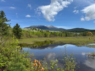 Blueberry ledges in Baxter State Park, Maine