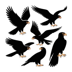 Dramatic eagle flight formation wildlife design