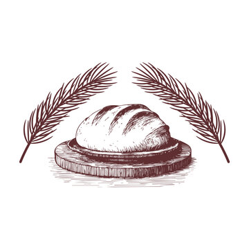 Vector design of bread on wooden plate with fir branches