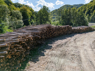 Obraz premium Stacked raw logs prepared for lumber production. Forestry, timber industry, and raw material processing for construction