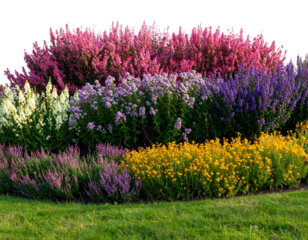 foreground flower gardens and meadows on a transparent background. 