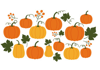 A pattern with pumpkins leaves and berries in orange green and yellow colors on a white background
