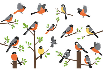 Birds some with orange chests are perched on branches