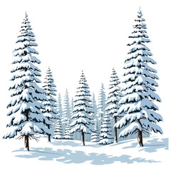 Obraz premium A detailed illustration of a winter forest scene, featuring snow-covered evergreen trees and a snowy ground.