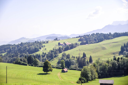 Monta&ntilde;as y praderas / Mountains & Meadows / Berge und Wiesen &ndash; carreteras alpinas con vacas al borde.