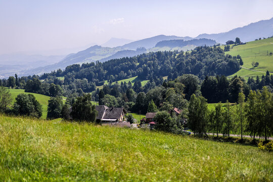 Monta&ntilde;as y praderas / Mountains & Meadows / Berge und Wiesen &ndash; carreteras alpinas con vacas al borde.