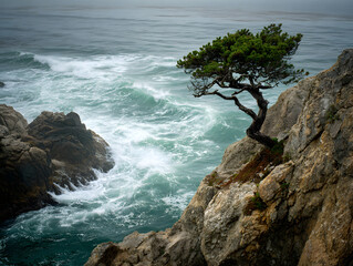 Lone gnarled tree clings to rocky cliff edge above turbulent ocean waves, dramatic windswept coastal landscape with misty atmosphere and resilient nature