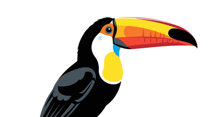 Fototapeta premium Colorful Toco Toucan bird with a large vibrant beak depicted in a flat graphic style. Detailed SVG vector illustration isolated on transparent background.