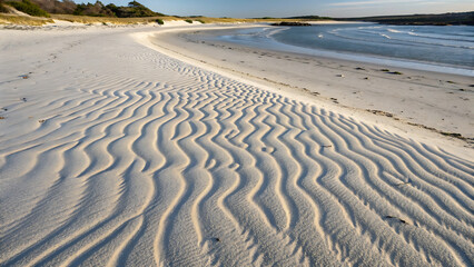 Sand dunes on the beach with ocean and sky in the background at daytime