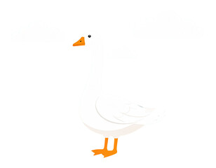 Realistic illustration of a white goose standing upright v