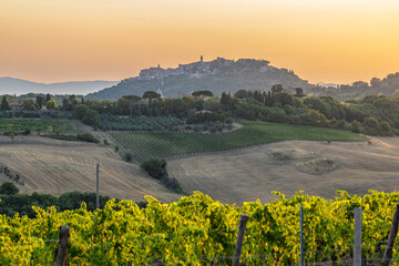 Obraz premium Pienza hilltop town with vineyards in Tuscany