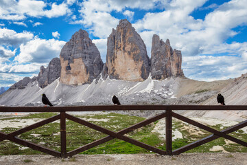 Famous Tre Cime di Lavaredo at summer time. Landscape of Alps Mountains. Dolomites, Alps, Italy,...