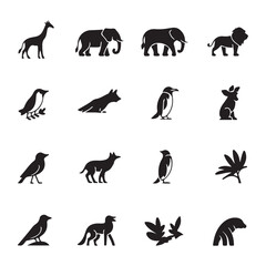 Giraffe wildlife silhouette