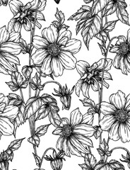 Vector seamless garden pattern with dahlias in engraving style. Autumn flowering background