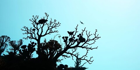 Intricate silhouettes of diverse coral species against a clear background,   ecology,   ocean life
