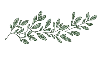 Green Leaf Branch Design Element on Transparent Background