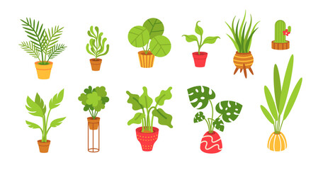 Indoor Plants flat cartoon set. House plants in ceramic cups, pots, basket. Decorative color collection Plants