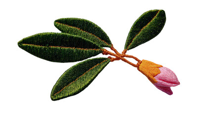 Pink Flower Bud and Green Leaves on Black Background
