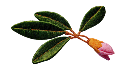 Pink Flower Bud and Green Leaves on Black Background