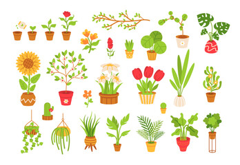 Home indoor plants set. Cartoon flat Houseplants in flowerpots. Home Scandinavian decor.  wicker potsб and hanging planters. Exotic Monstera and other decoration green planting on white background