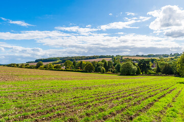 View of countryside with agricultural field near Amersham, UK