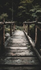 Fototapeta premium A rustic wooden footbridge, weathered and gray, stretches across a shadowed stream, nestled within a dark, lush forest. The perspective is from the center, leading the eye into the deepening woods