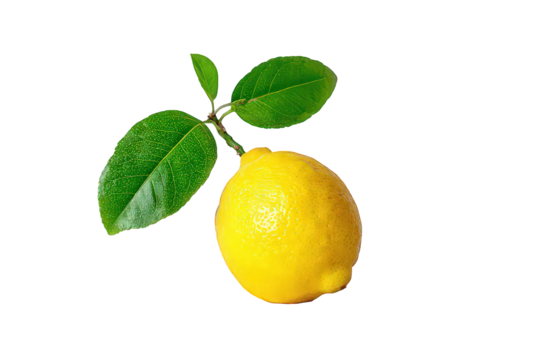 Single Lemon With Leaves Against Black Background