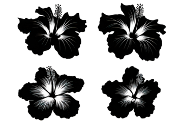 Abstract Black and White Flower Patterns
