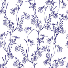 Vector seamless garden pattern with lobelia in engraving style. Autumn flowering background