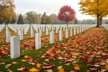 Cemetery Headstones in Rows with Fallen Autumn Leaves on Grass on Overcast Day