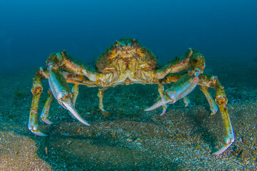 sunset, sky, sea, water, sun, sunrise, cloud, ocean, nature, landscape, clouds, beach, dusk, horizon, orange, evening, blue, beautiful, dawn, lake, reflection, sunlight, red, coast, color