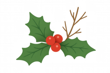 Holly sprig with green leaves and red berries for christmas and winter decorations on transparent background