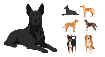 Obraz premium A collection of diverse dog breeds depicted in a variety of poses.
