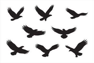 microstockSet of eagle silhouettes in flight with wings spread. Black raptor bird vector shapes isolated on white background. Perfect for wildlife, freedom, tattoo, logo, and graphic design elements.