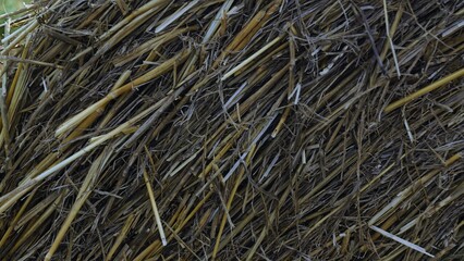 Close-Up of a Haystack with Intertwined Straw