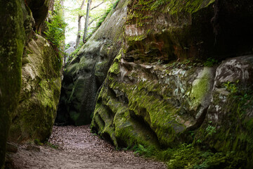 Explore a narrow green valley surrounded by moss-covered rocks and trees during a summer day