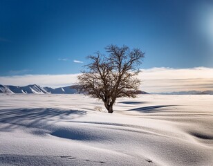 solitary tree in a snow covered desert landscape under a vast sky