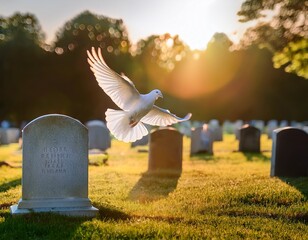 a white dove in flight a symbol of peace and remembrance soars over a tranquil graveyard bathed in gentle sunlight this image evokes feelings of tribute and spirituality finding solace amidst